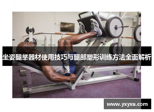 坐姿腿举器材使用技巧与腿部塑形训练方法全面解析