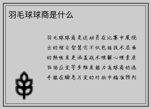 羽毛球球商是什么